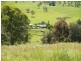 458  Bunnoo River Rd, Ellenborough NSW 2446