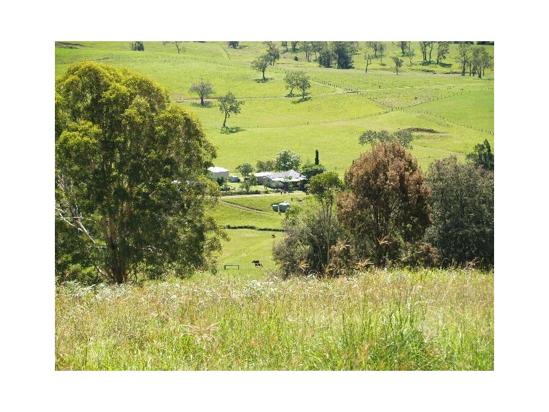 458  Bunnoo River Rd, Ellenborough NSW 2446