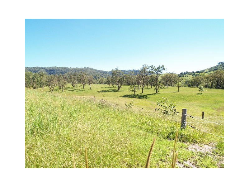 458  Bunnoo River Rd, Ellenborough NSW 2446