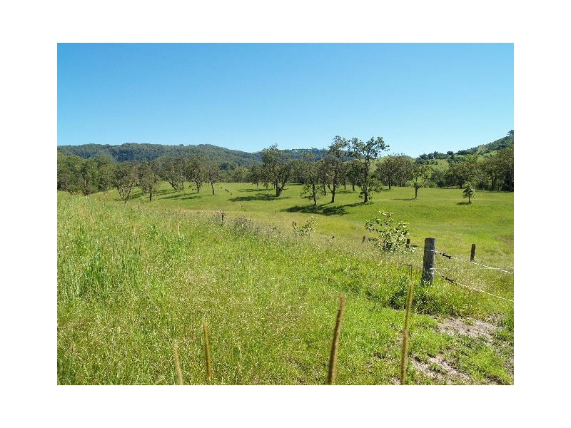 458  Bunnoo River Rd, Ellenborough NSW 2446