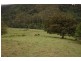 Lot Kindee Rd, Kindee NSW 2446
