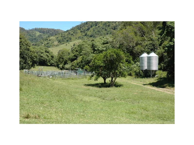 Lot Kindee Rd, Kindee NSW 2446