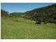 Lot Kindee Rd, Kindee NSW 2446