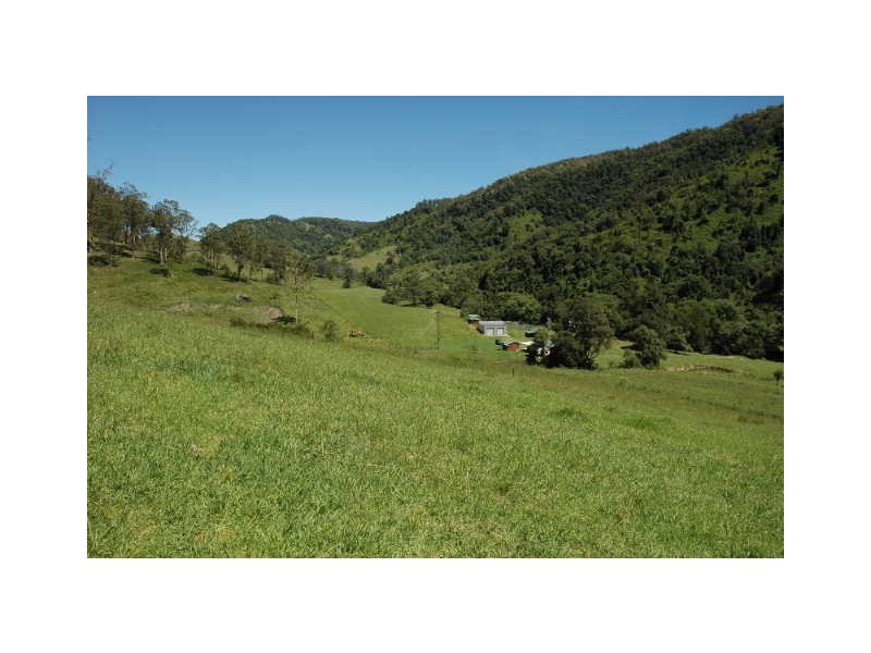 Lot Kindee Rd, Kindee NSW 2446