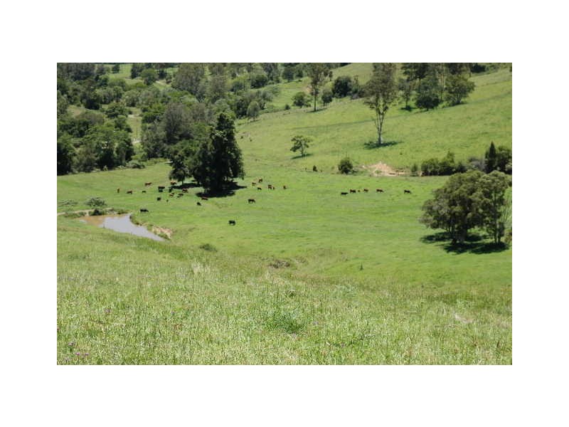 Lot Kindee Rd, Kindee NSW 2446