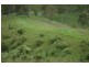 Lot Kindee Rd, Kindee NSW 2446
