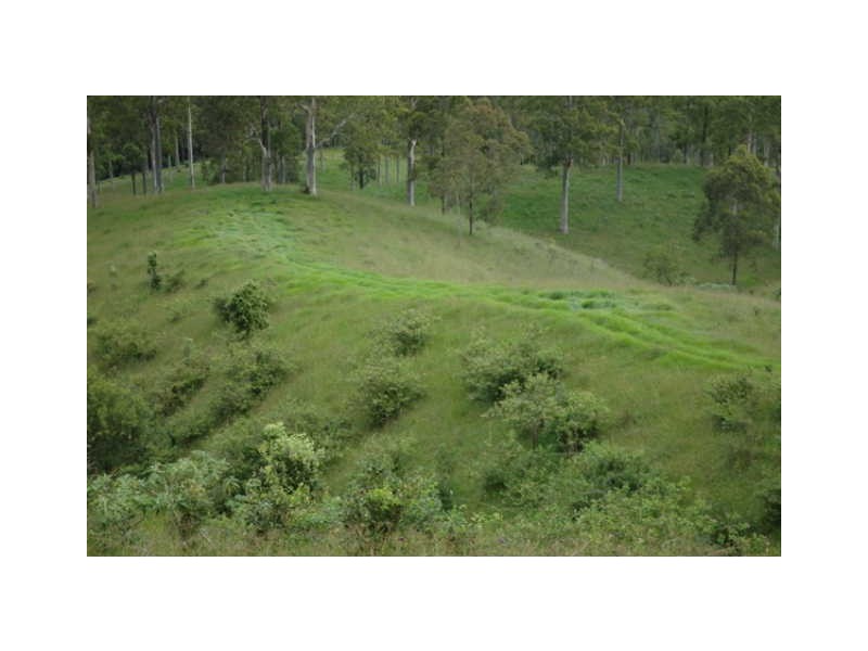 Lot Kindee Rd, Kindee NSW 2446