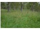Lot Kindee Rd, Kindee NSW 2446