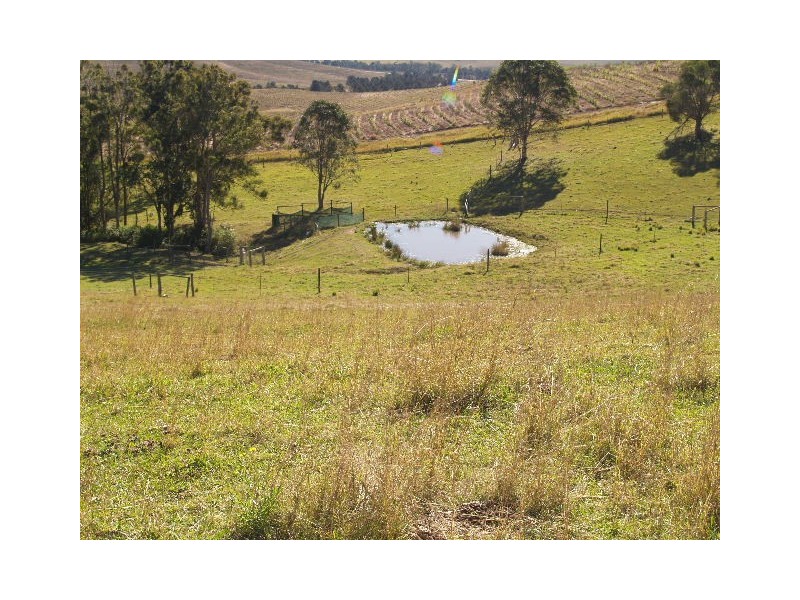 9 Figtree Valley Road, Yarras NSW 2446