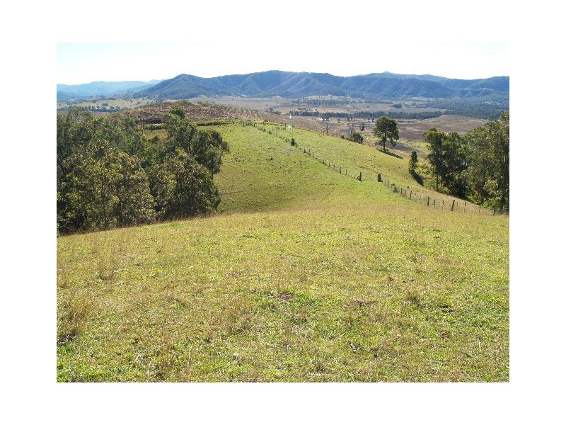 9 Figtree Valley Road, Yarras NSW 2446