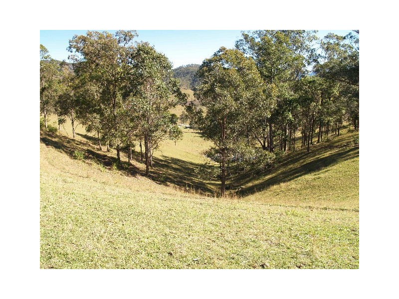 9 Figtree Valley Road, Yarras NSW 2446