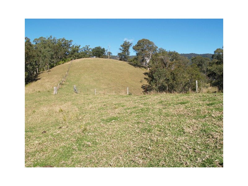 9 Figtree Valley Road, Yarras NSW 2446