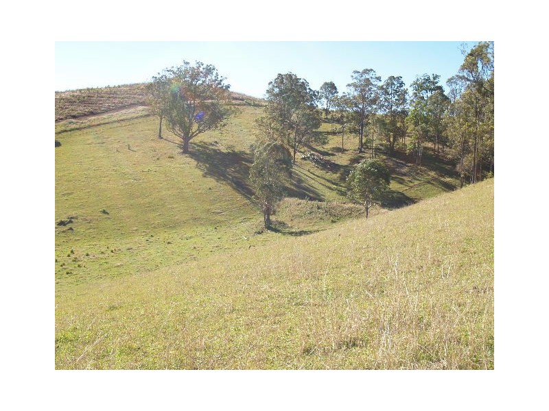 9 Figtree Valley Road, Yarras NSW 2446