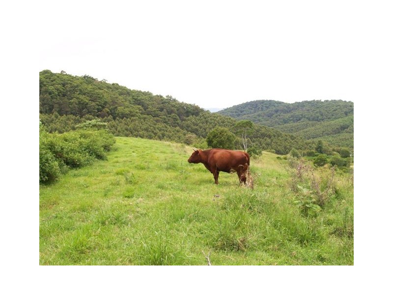 Lot 2  Rosemont Road, Pappinbarra NSW 2446