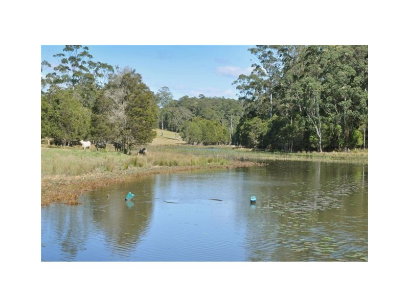 60 Rowsells Road, Wauchope NSW 2446