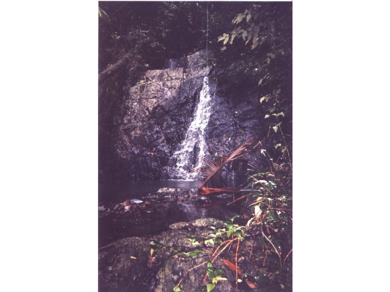 559 Gum Scrub Road, Gum Scrub NSW 2441