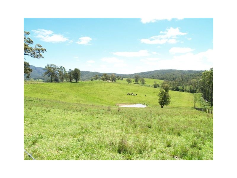 Lot 1/326 Little Loops Road, Rollands Plains NSW 2441