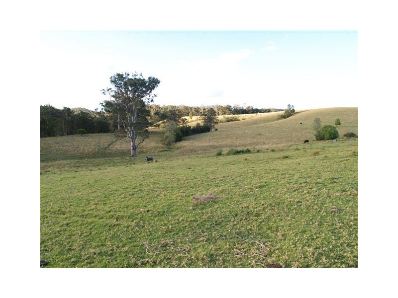 Lot 1/326 Little Loops Road, Rollands Plains NSW 2441