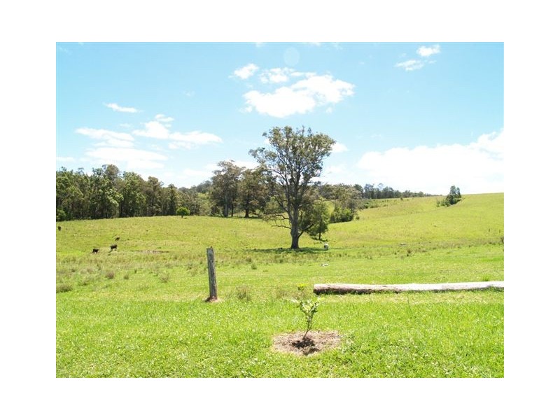 Lot 1/326 Little Loops Road, Rollands Plains NSW 2441