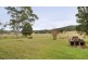 429 Gum Scrub Road, Gum Scrub NSW 2441
