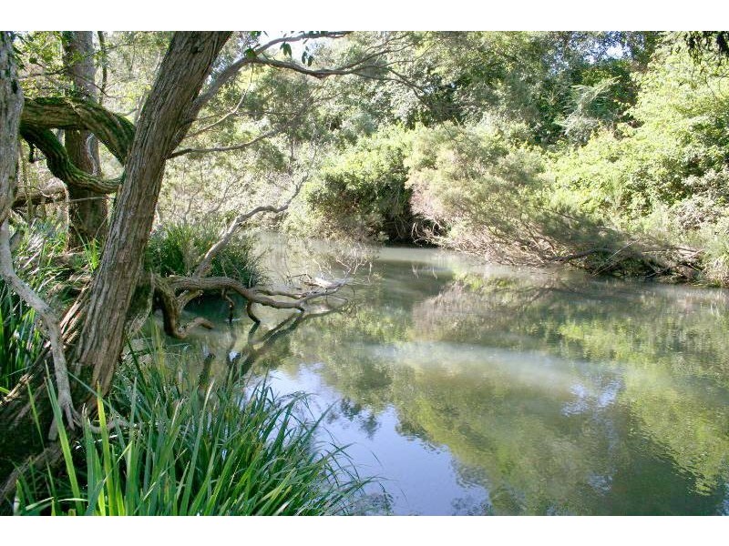 179 Pappinbarra Road, Beechwood NSW 2446