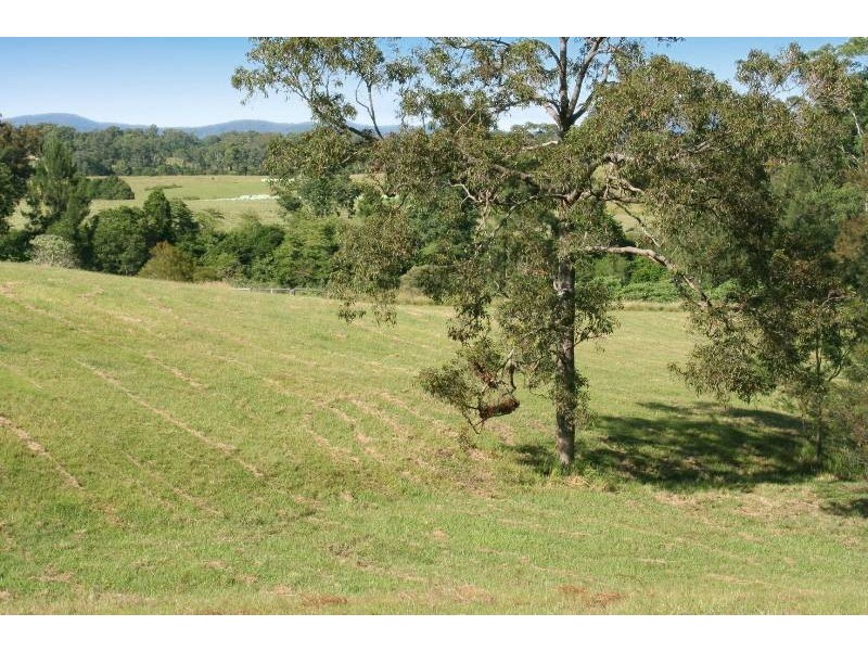 179 Pappinbarra Road, Beechwood NSW 2446