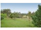 179 Pappinbarra Road, Beechwood NSW 2446