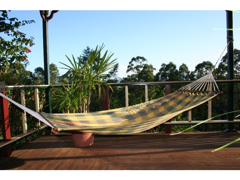 179 Pappinbarra Road, Beechwood NSW 2446