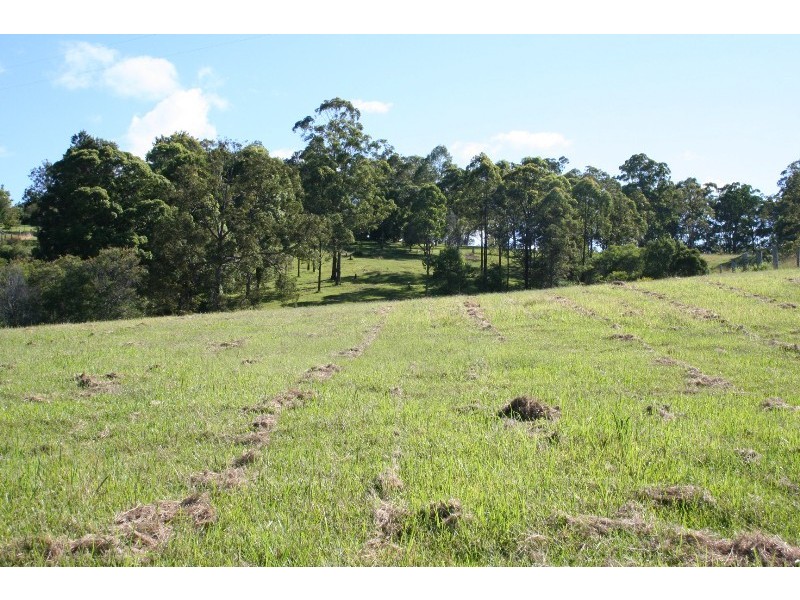 179 Pappinbarra Road, Beechwood NSW 2446