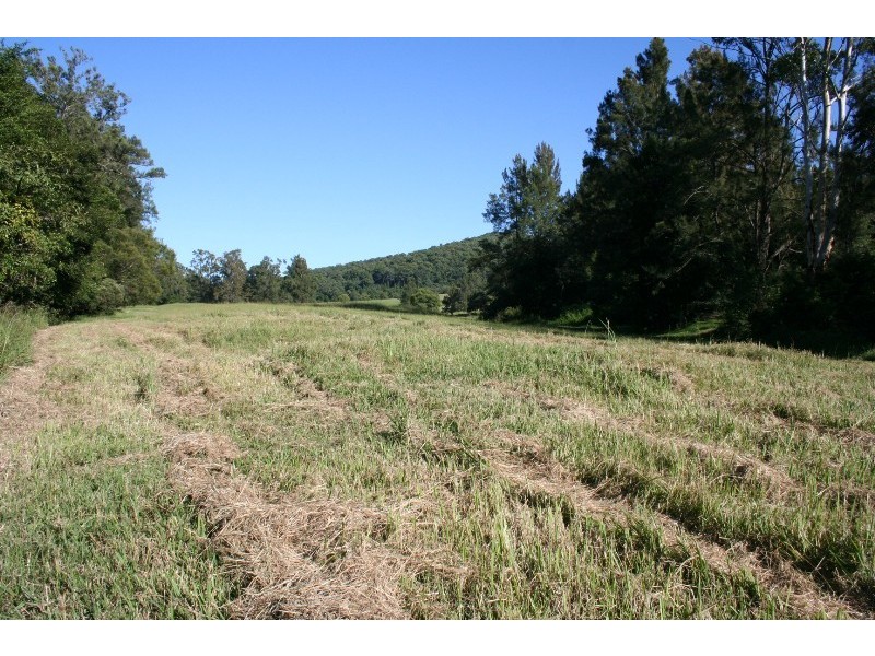 179 Pappinbarra Road, Beechwood NSW 2446