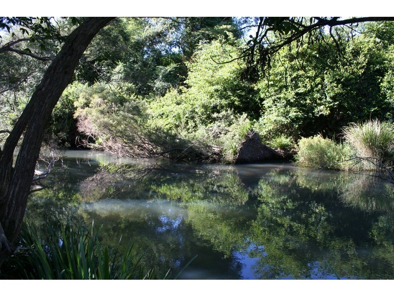 179 Pappinbarra Road, Beechwood NSW 2446