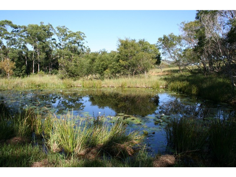 179 Pappinbarra Road, Beechwood NSW 2446