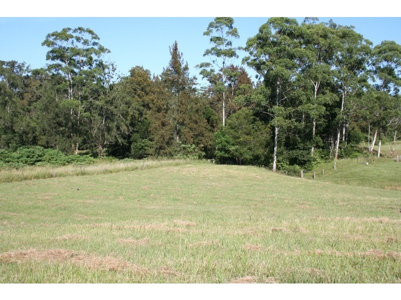 179 Pappinbarra Road, Beechwood NSW 2446