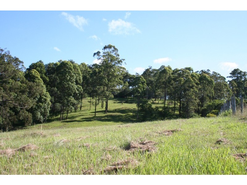 179 Pappinbarra Road, Beechwood NSW 2446