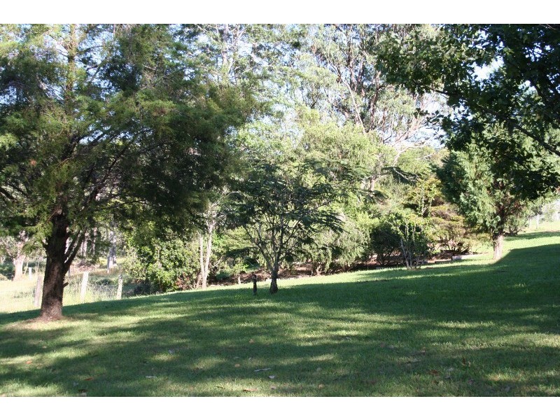 179 Pappinbarra Road, Beechwood NSW 2446