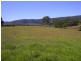 740 Forbes River Road, Birdwood NSW 2446