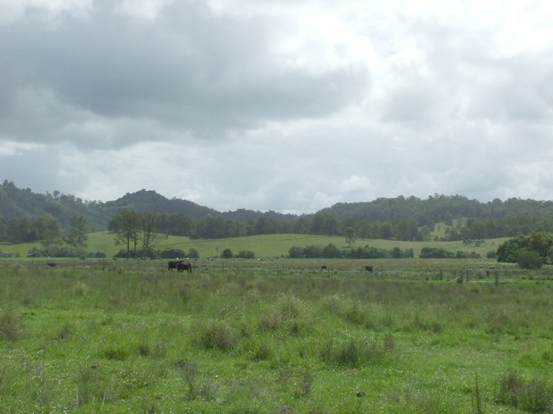 429 Gum Scrub Road, Gum Scrub NSW 2441