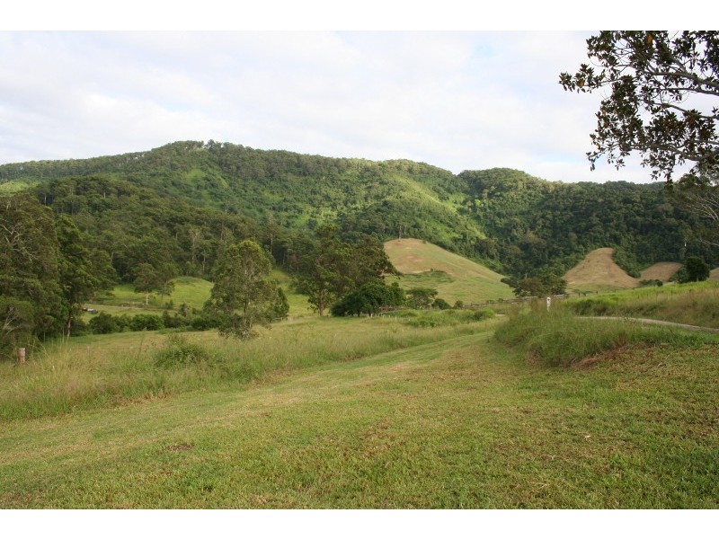 1161 Pipeclay Road, Pipeclay NSW 2446