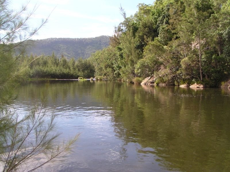 1496 Pipeclay Road, Pipeclay NSW 2446