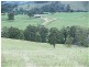 1496 Pipeclay Road, Pipeclay NSW 2446