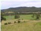 1496 Pipeclay Road, Pipeclay NSW 2446