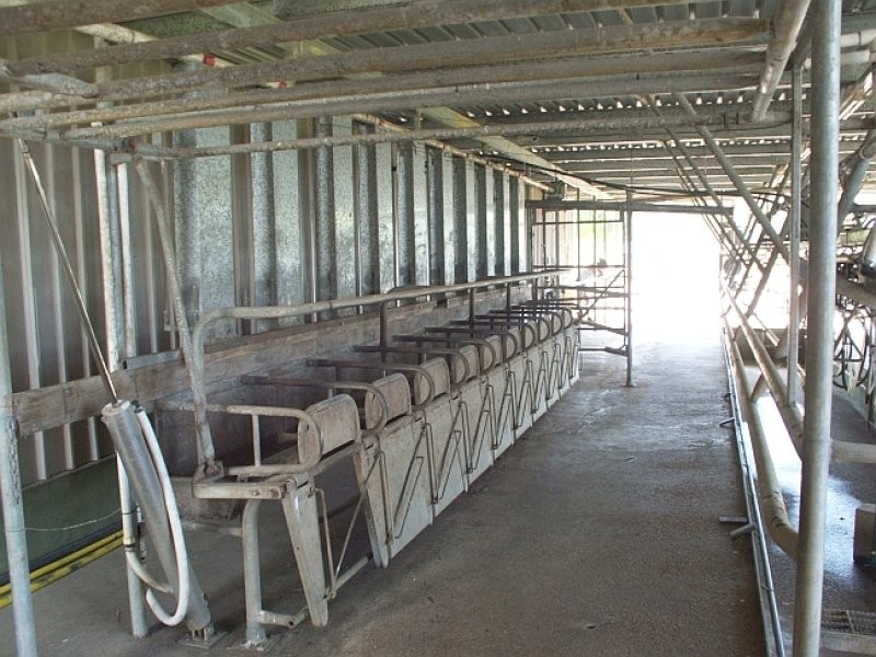 1496 Pipeclay Road, Pipeclay NSW 2446