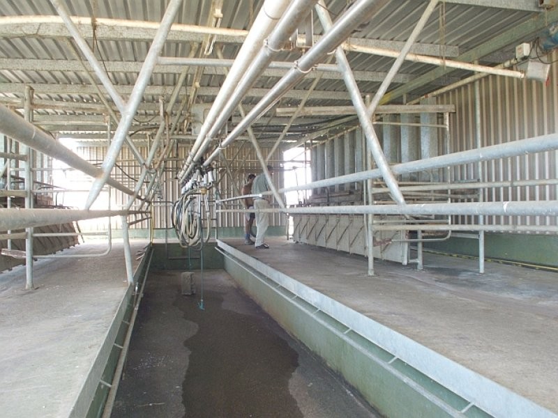 1496 Pipeclay Road, Pipeclay NSW 2446