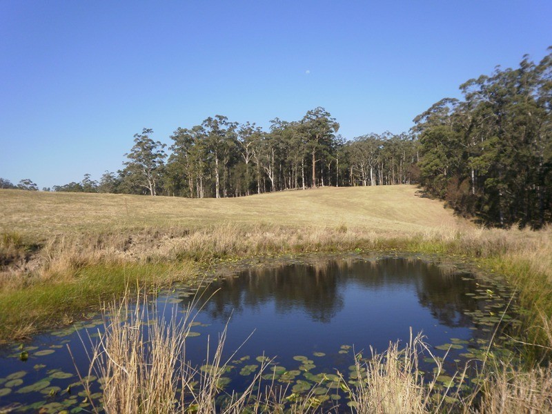 388 Red Hill Road, Telegraph Point NSW 2441