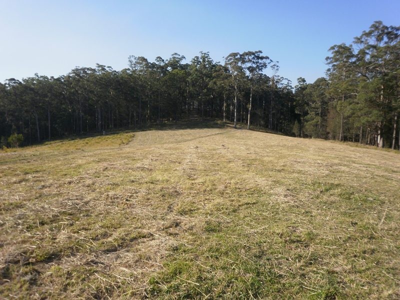 388 Red Hill Road, Telegraph Point NSW 2441