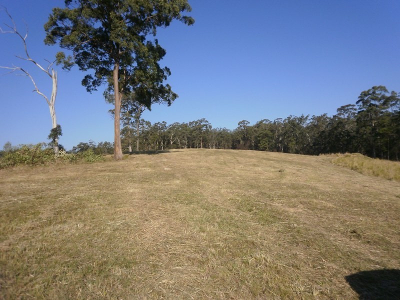 388 Red Hill Road, Telegraph Point NSW 2441
