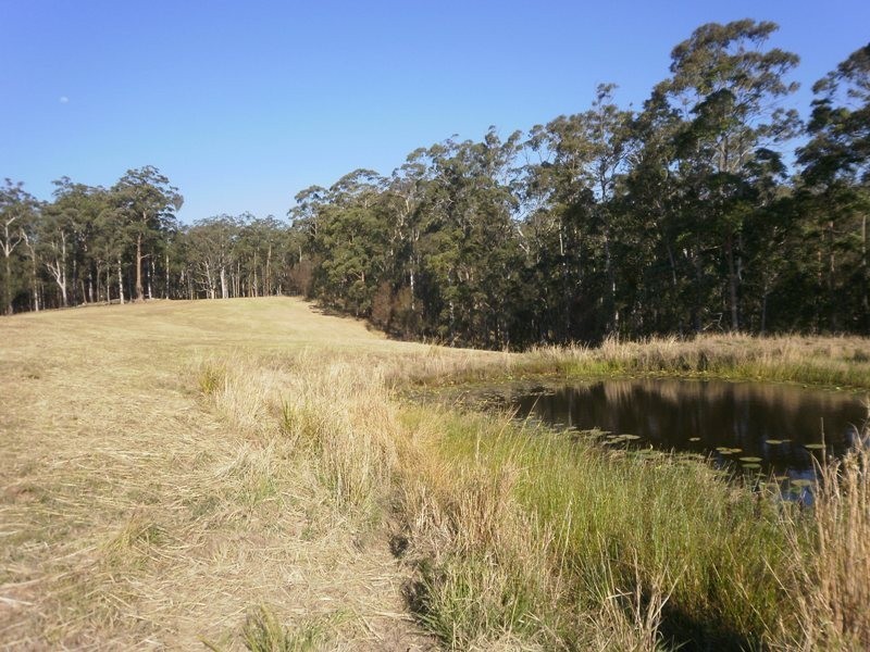 388 Red Hill Road, Telegraph Point NSW 2441