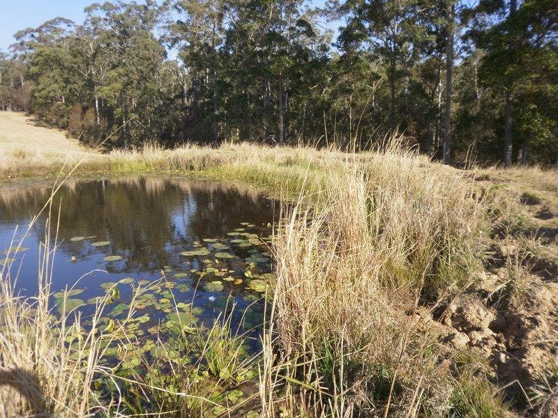 388 Red Hill Road, Telegraph Point NSW 2441