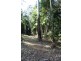 388 Red Hill Road, Telegraph Point NSW 2441