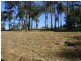 17 Lake Ridge Drive, Kew NSW 2439